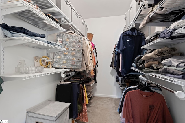 walk in closet with light carpet