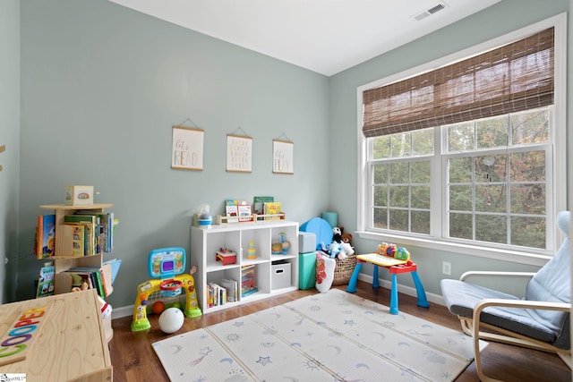 rec room with hardwood / wood-style flooring