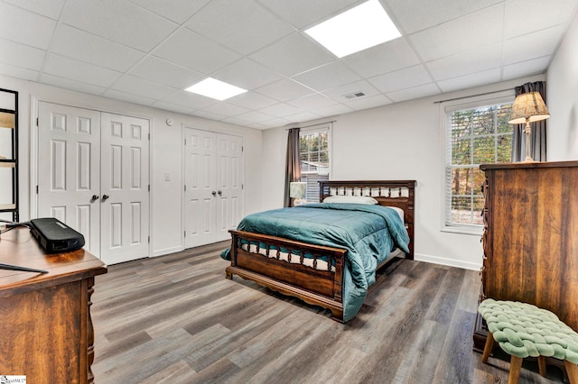 bedroom with a drop ceiling, dark hardwood / wood-style floors, and multiple closets