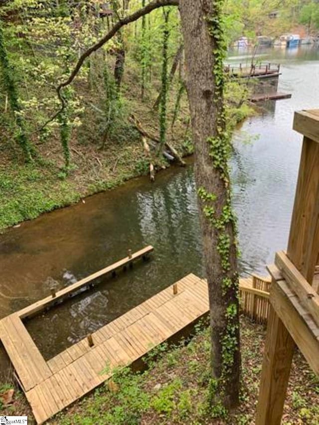 dock area with a water view