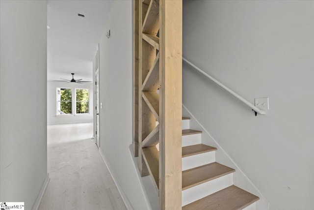 staircase featuring ceiling fan