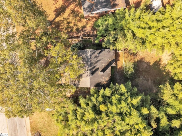 1303 E River St, Anderson, SC 29624 - drone / aerial view