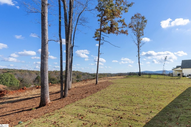 view of yard featuring a rural view