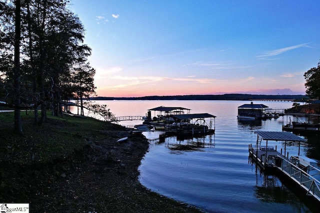 dock area with a water view