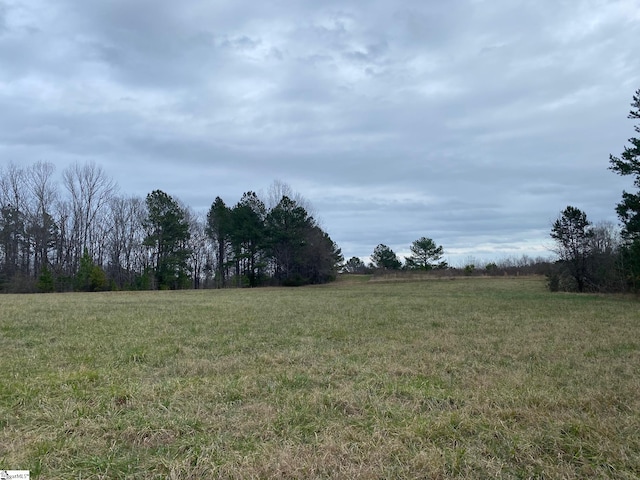 00 Relax St, Waterloo SC, 29384 land for sale