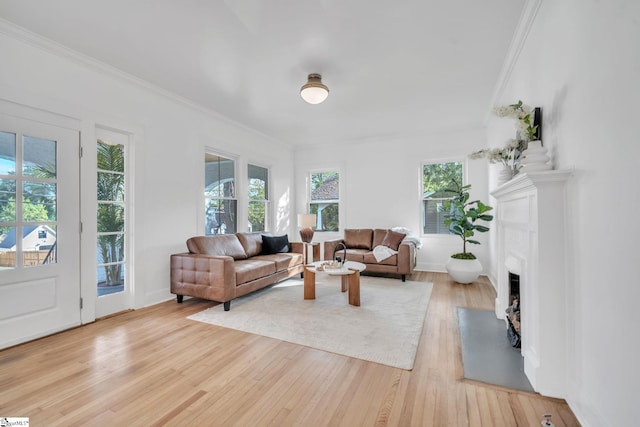 living room featuring a wealth of natural light, light wood-type flooring, and ornamental molding