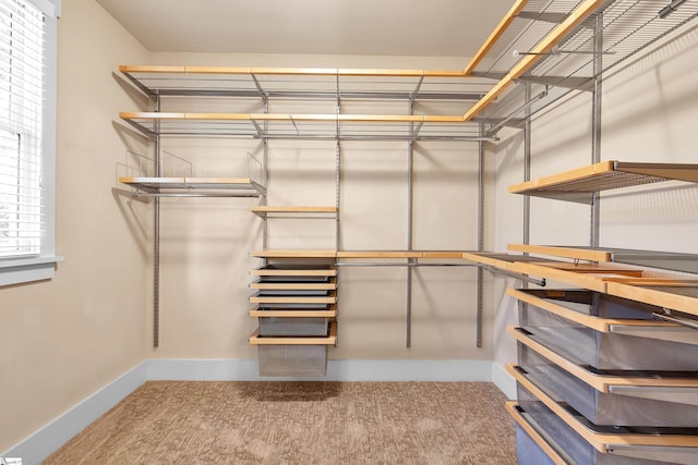 view of walk in closet