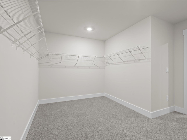 walk in closet featuring carpet