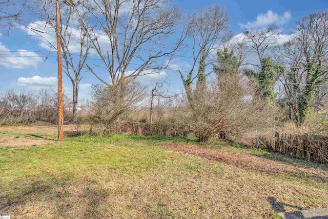 315 Poole St, Woodruff, SC 29388 - view of yard