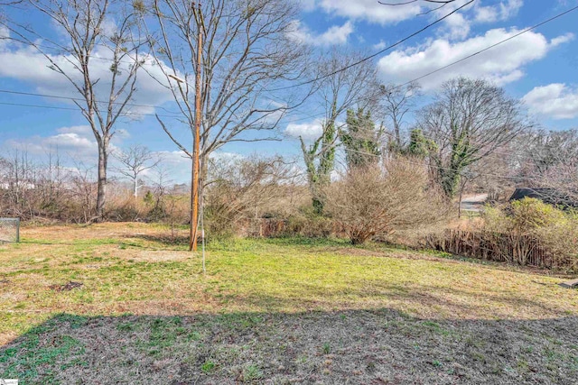 315 Poole St, Woodruff, SC 29388 - view of yard