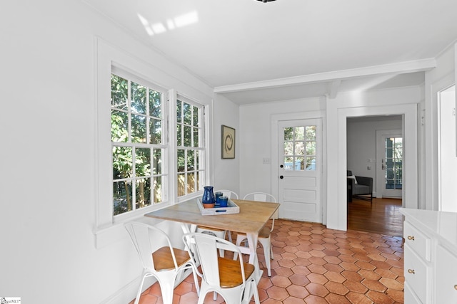 dining space featuring light hardwood / wood-style floors, plenty of natural light, and ornamental molding