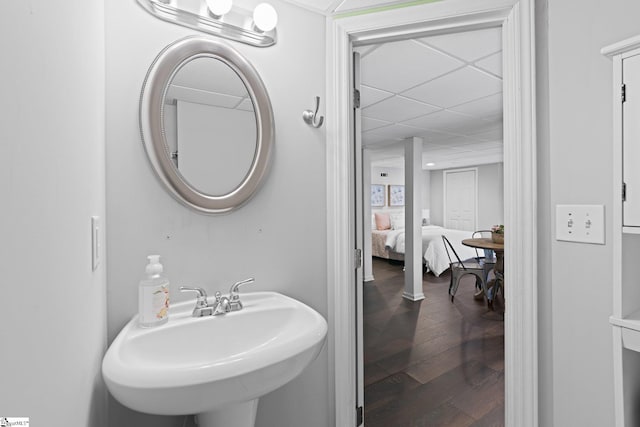 bathroom with sink, a paneled ceiling, and hardwood / wood-style floors