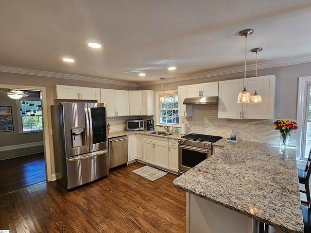 kitchen featuring stainless steel appliances, white cabinetry, hanging light fixtures, sink, and dark wood-type flooring