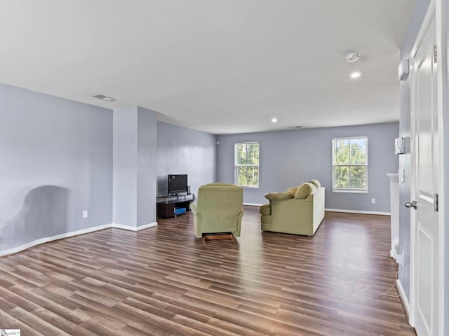 living room featuring wood-type flooring