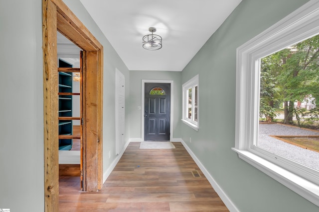 doorway with a wealth of natural light and hardwood / wood-style floors