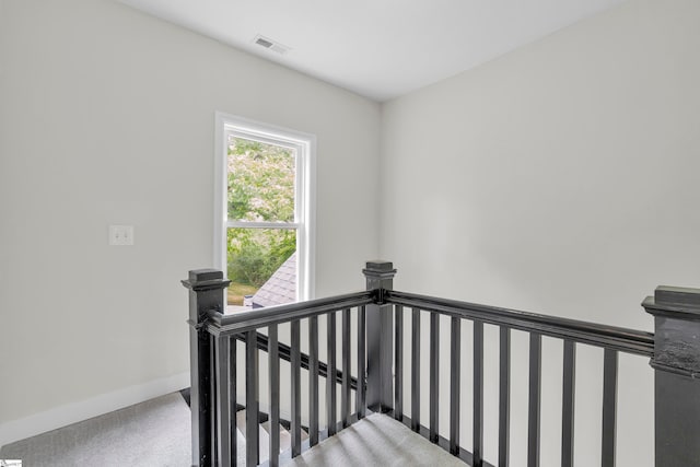 staircase with carpet