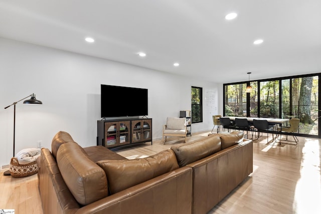 living room with light wood-type flooring and a healthy amount of sunlight