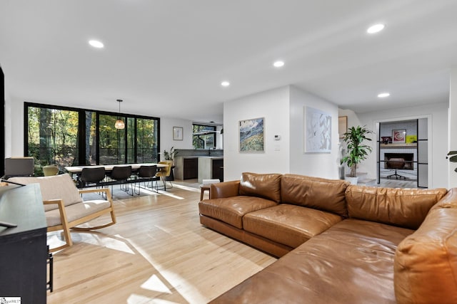 living room with light wood-type flooring