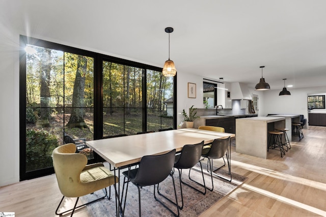 dining space featuring light wood-type flooring and sink