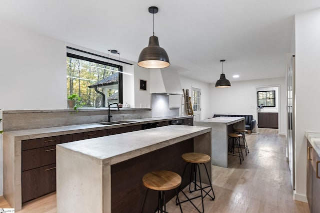 kitchen featuring dark brown cabinets, light wood-type flooring, a wealth of natural light, and sink