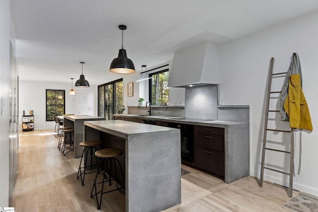 kitchen with dark brown cabinetry, light hardwood / wood-style floors, sink, decorative light fixtures, and ventilation hood