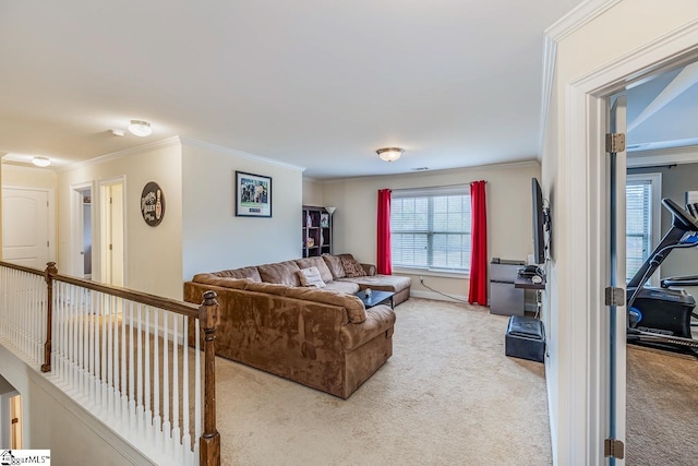 living room with crown molding and carpet