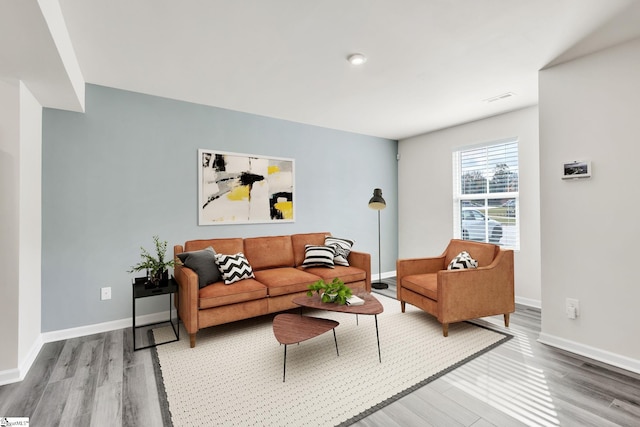 living room with wood-type flooring