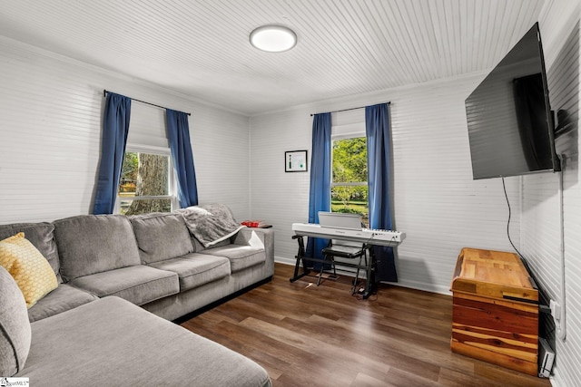 living room with dark wood-type flooring and plenty of natural light