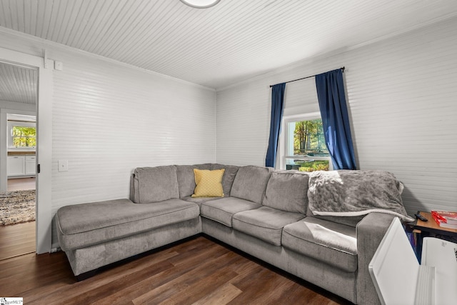 living room featuring dark hardwood / wood-style floors