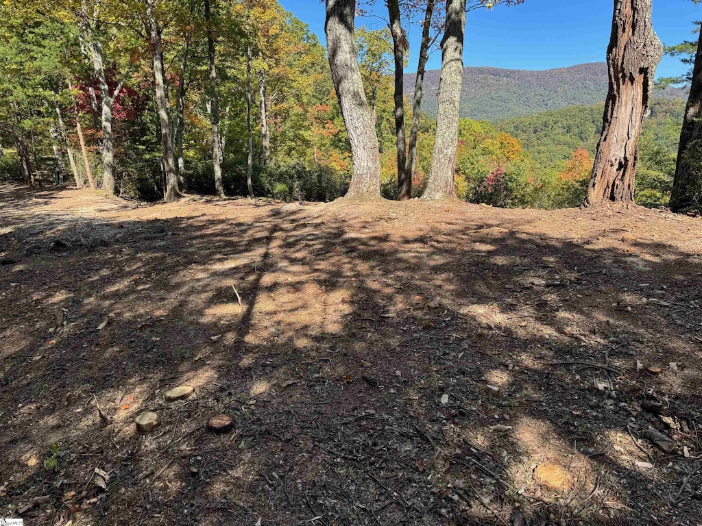 112 Ridge Pass Way Unit Cag-Gs-002, Landrum, SC 29356