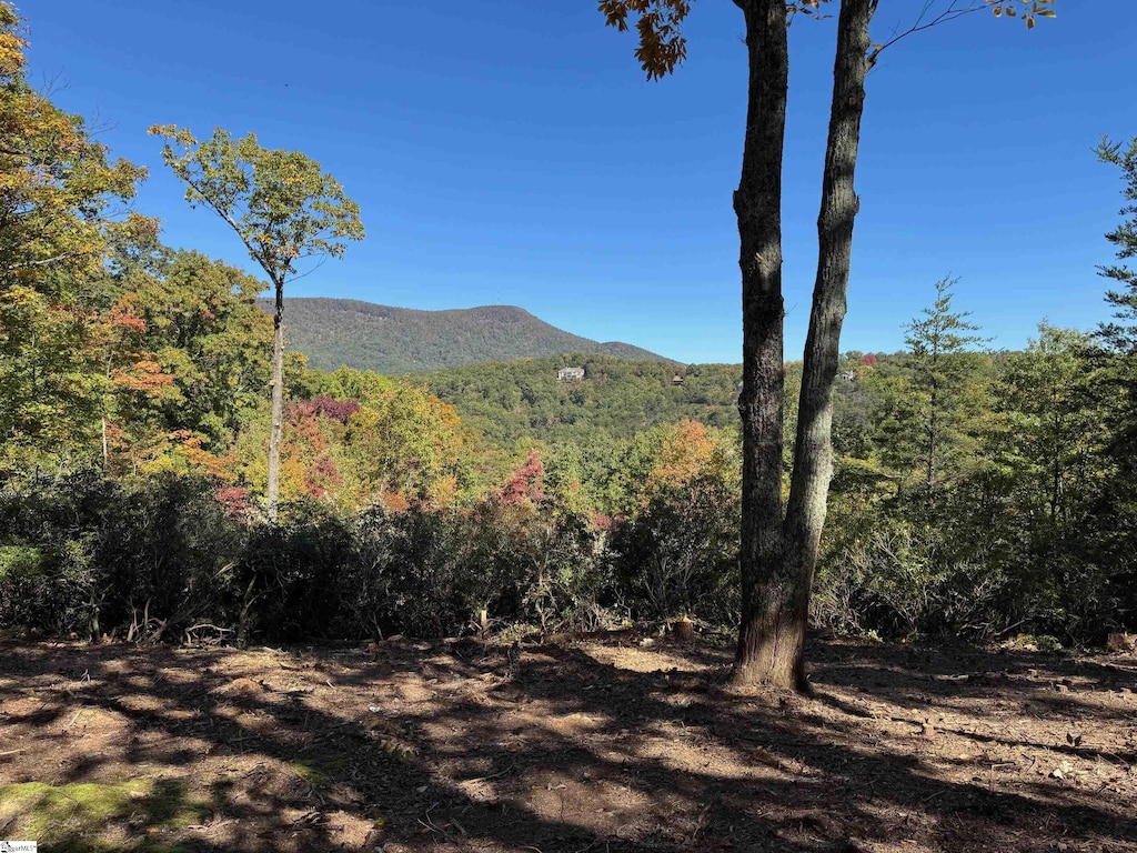 112 Ridge Pass Way Unit Cag-Gs-002, Landrum, SC 29356