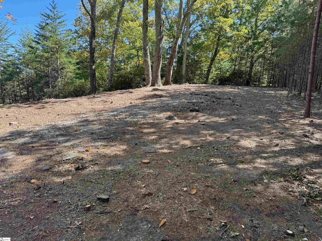 112 Ridge Pass Way Unit Cag-Gs-002, Landrum, SC 29356
