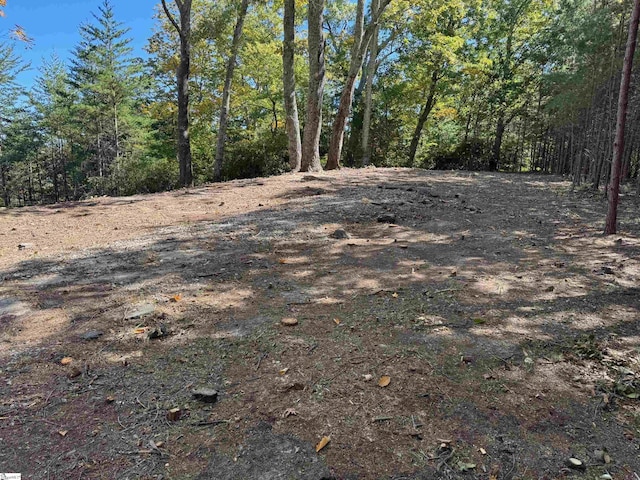 112 Ridge Pass Way Unit Cag-Gs-002, Landrum, SC 29356