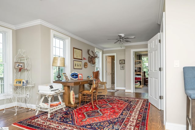 interior space featuring ceiling fan, crown molding, and dark wood-type flooring