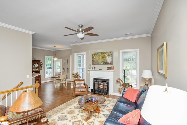 living room with dark hardwood / wood-style floors, ceiling fan, and crown molding