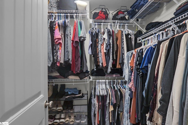 view of spacious closet