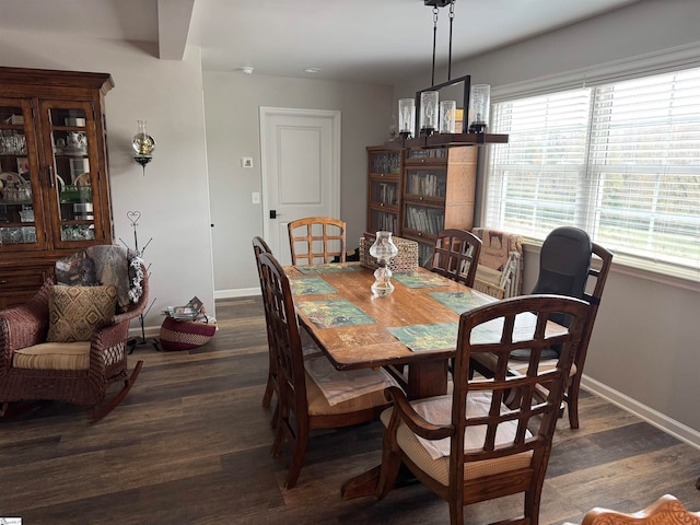 dining room featuring dark wood-type flooring