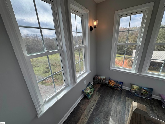 interior space featuring wood-type flooring