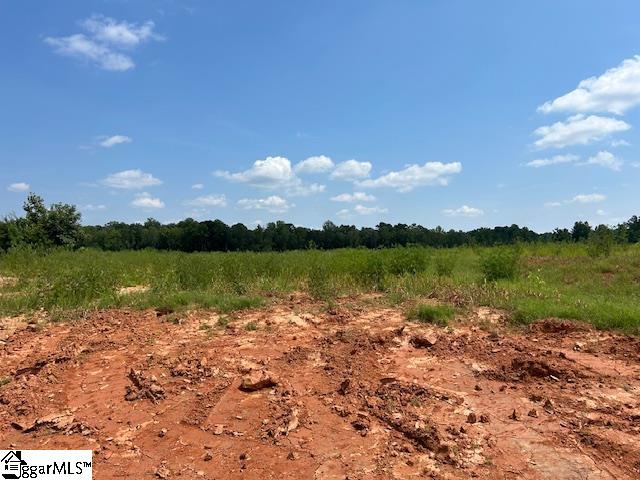 view of local wilderness featuring a rural view