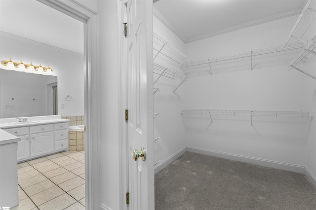 spacious closet with light colored carpet and sink