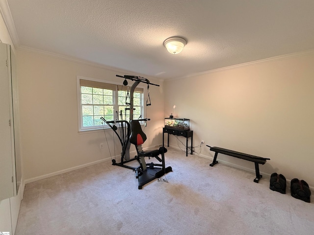 exercise room featuring crown molding, light colored carpet, and a textured ceiling