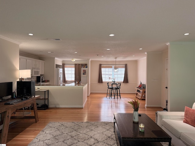 living room featuring light hardwood / wood-style flooring, ornamental molding, and sink