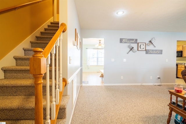 staircase featuring carpet floors