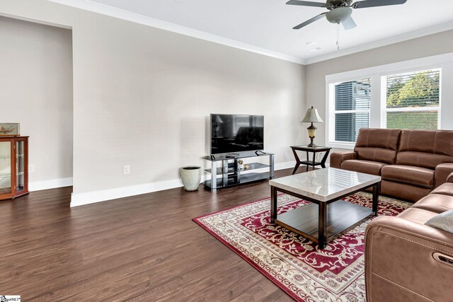 living room featuring dark hardwood / wood-style floors, ceiling fan, and ornamental molding