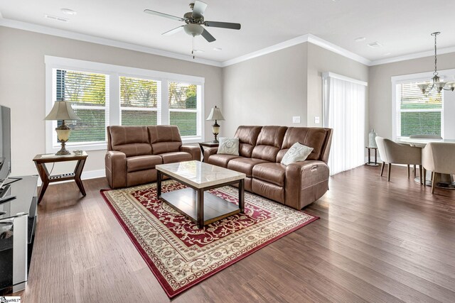 living room with a wealth of natural light, dark wood-type flooring, ceiling fan with notable chandelier, and ornamental molding