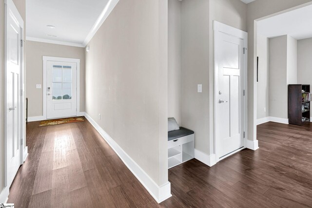 hallway with dark hardwood / wood-style flooring and ornamental molding