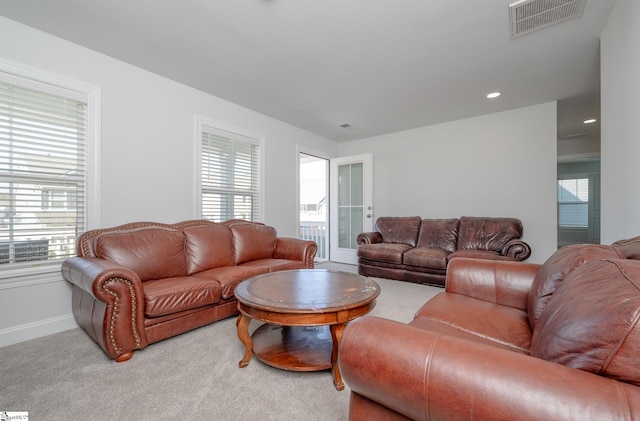 carpeted living room with a wealth of natural light