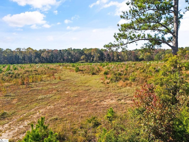 view of nature