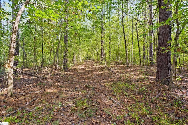 view of local wilderness