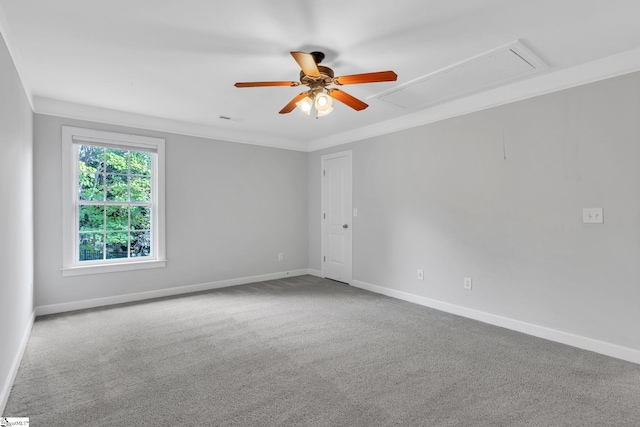 spare room with carpet flooring, ceiling fan, and ornamental molding